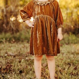 Noralee size 4 golden velvet dress NWT